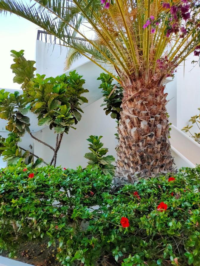 Flor De Cactus Apartman Costa Teguise Kültér fotó