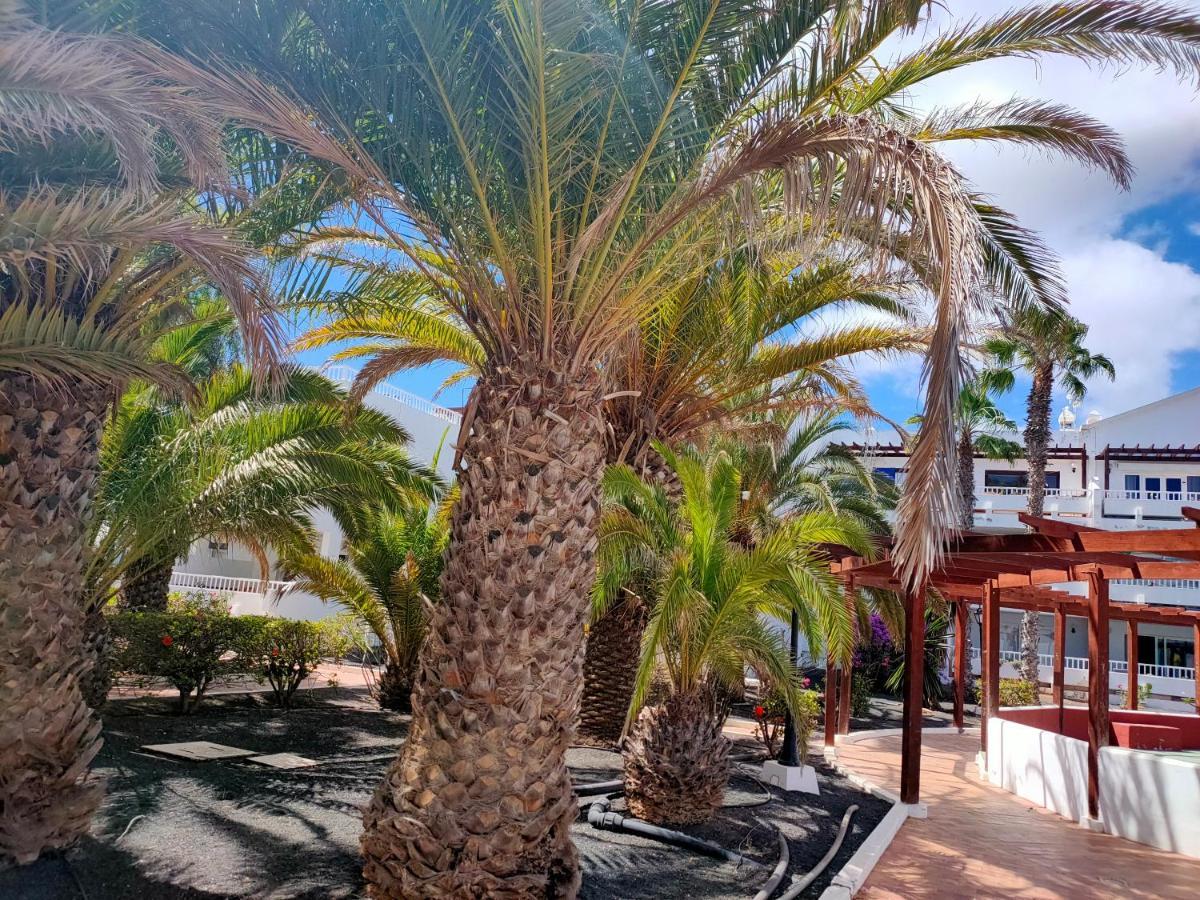 Flor De Cactus Apartman Costa Teguise Kültér fotó