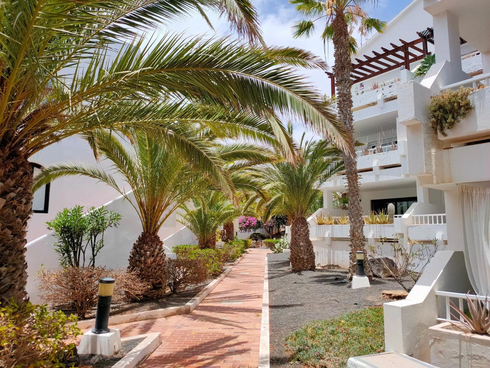 Flor De Cactus Apartman Costa Teguise Szoba fotó